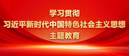 国产荡妇视频学习贯彻习近平新时代中国特色社会主义思想主题教育_fororder_ad-371X160(2)